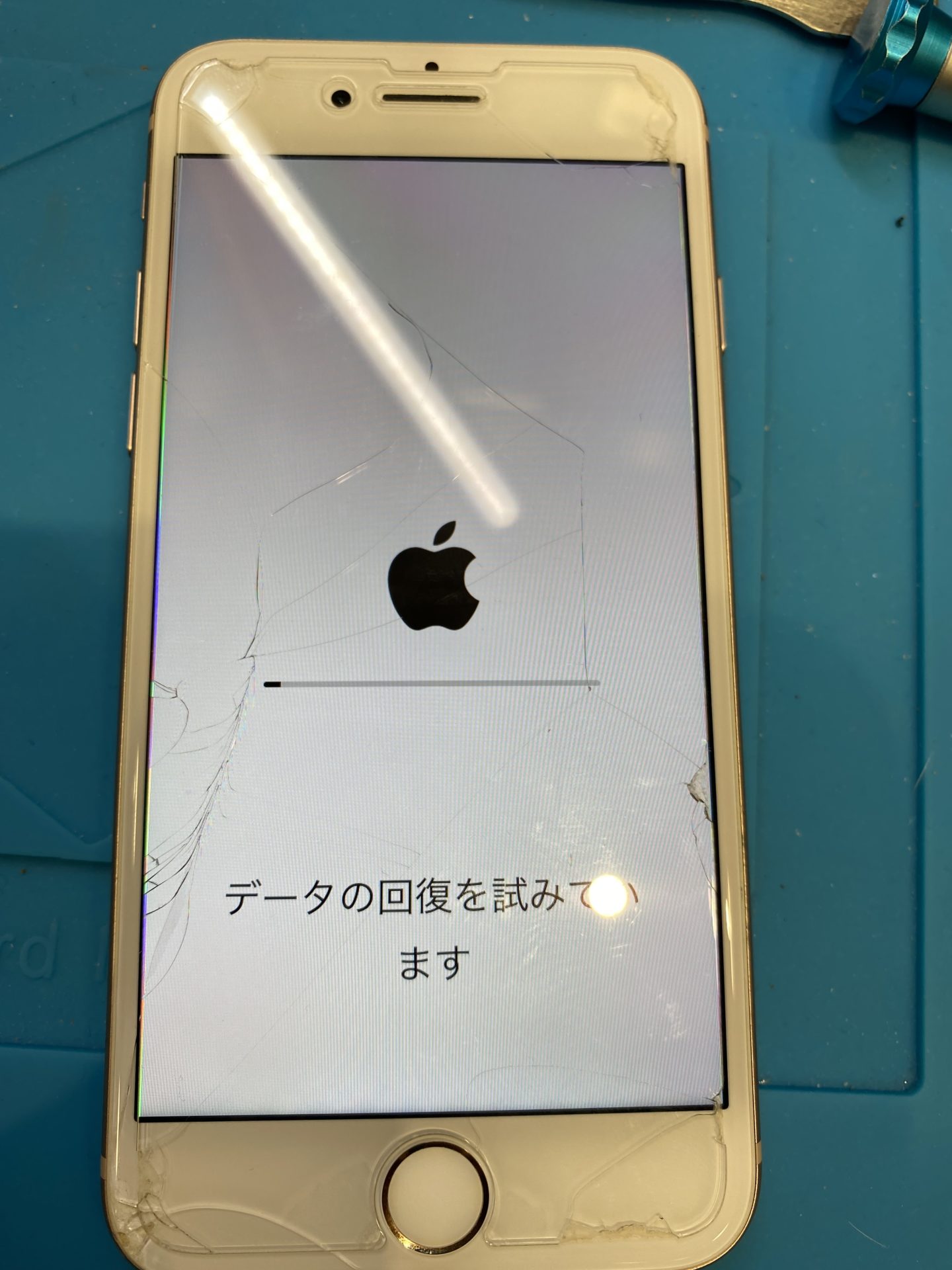 新規購入iPhone 8 ゴールド/りんごループ状態 スマートフォン本体